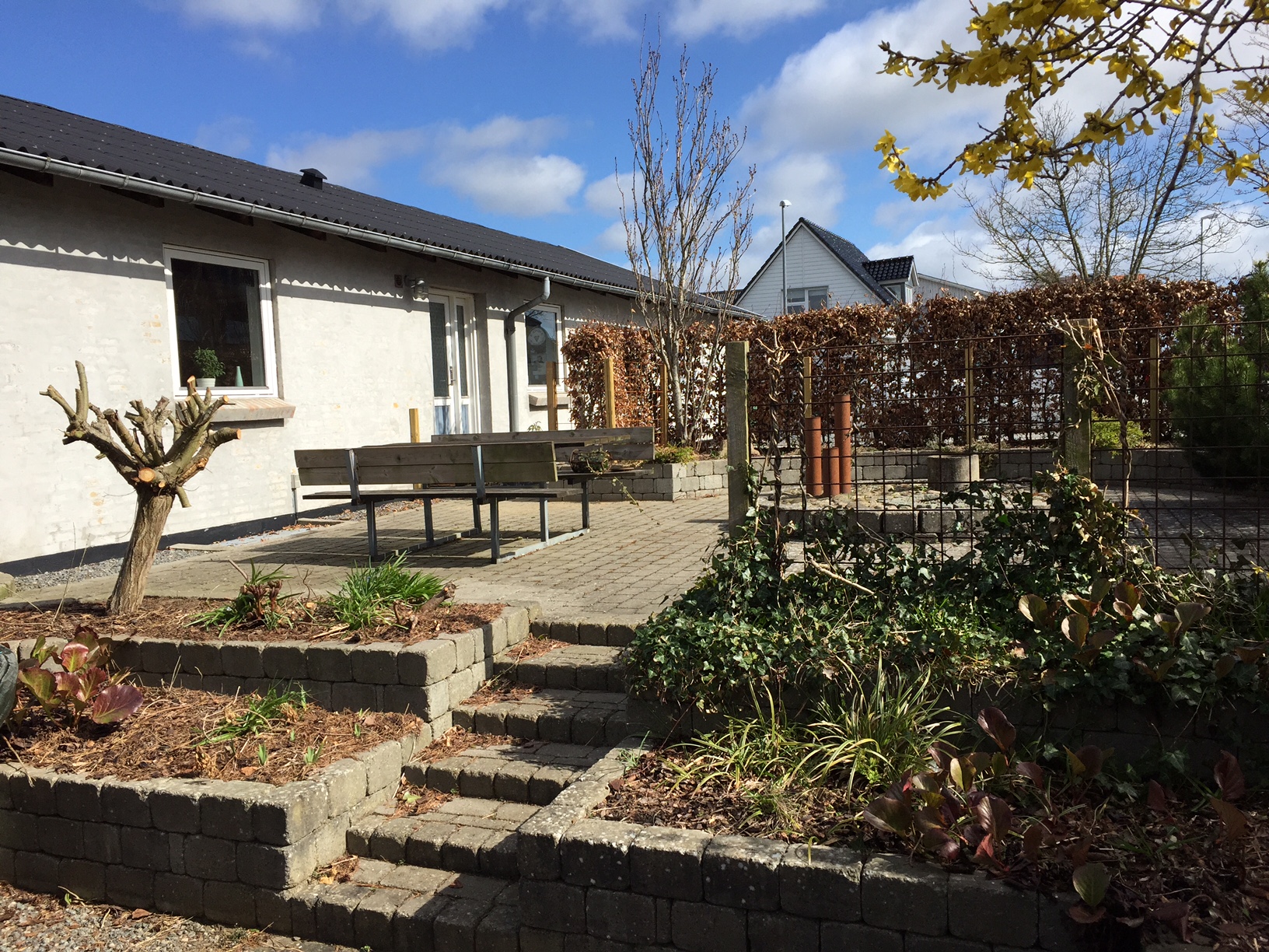 Terrassen i Dagtilbuddet