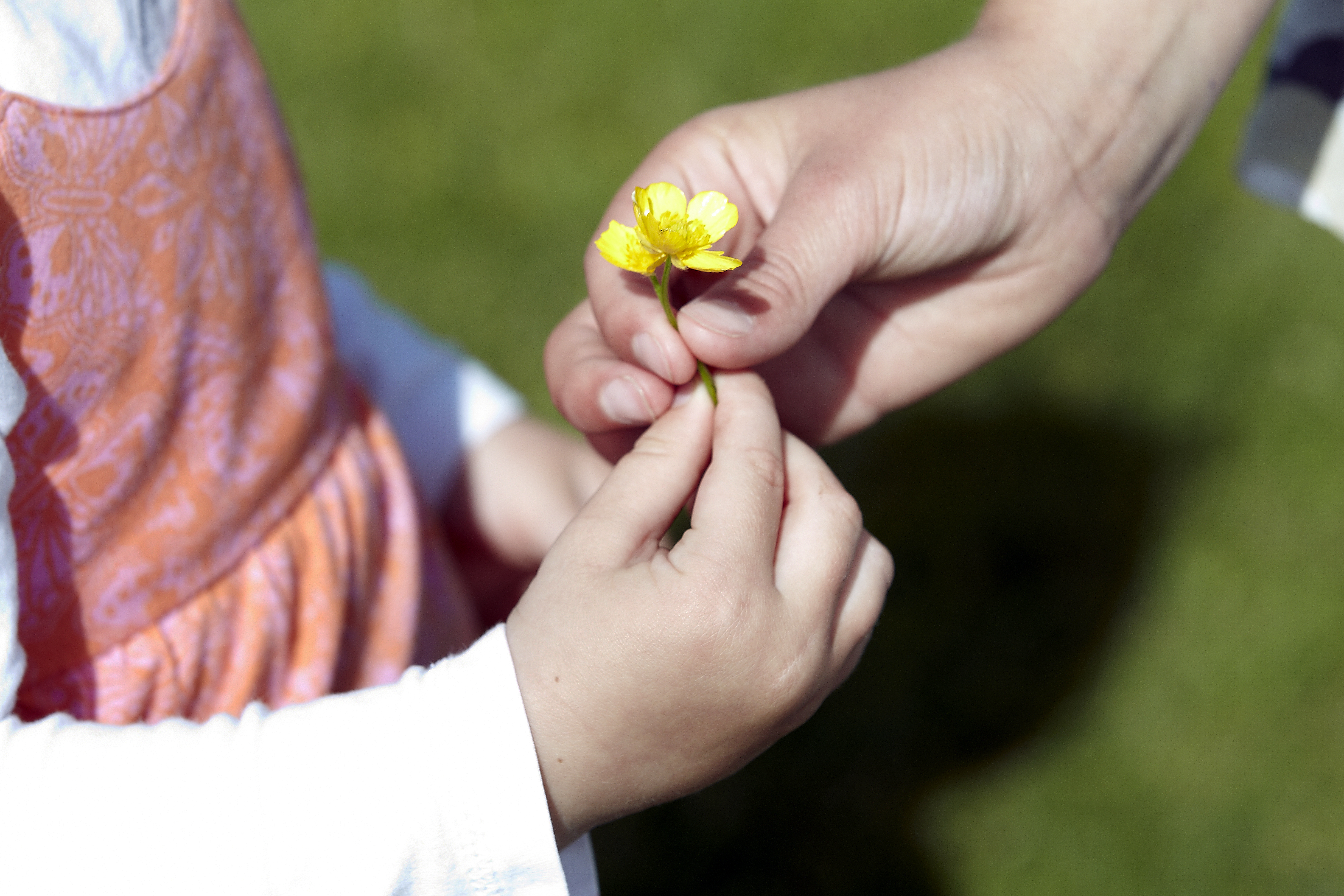 Voksen og barn holder om en plukket blomst